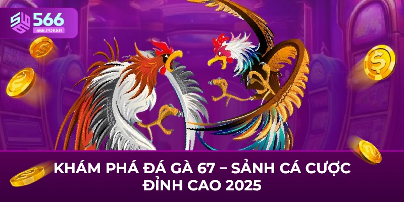 Khám Phá Đá Gà 67 – Sảnh Cá Cược Đỉnh Cao 2025